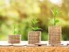Building Wealth With Dividend Stocks: A Comprehensive Guide