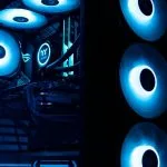 BitFi Basis: An Architectural Deconstruction